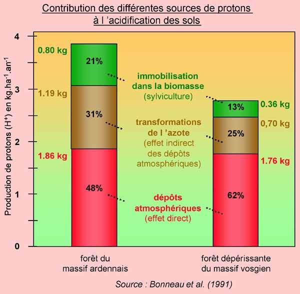 Contribution des dépôts à l'acidification